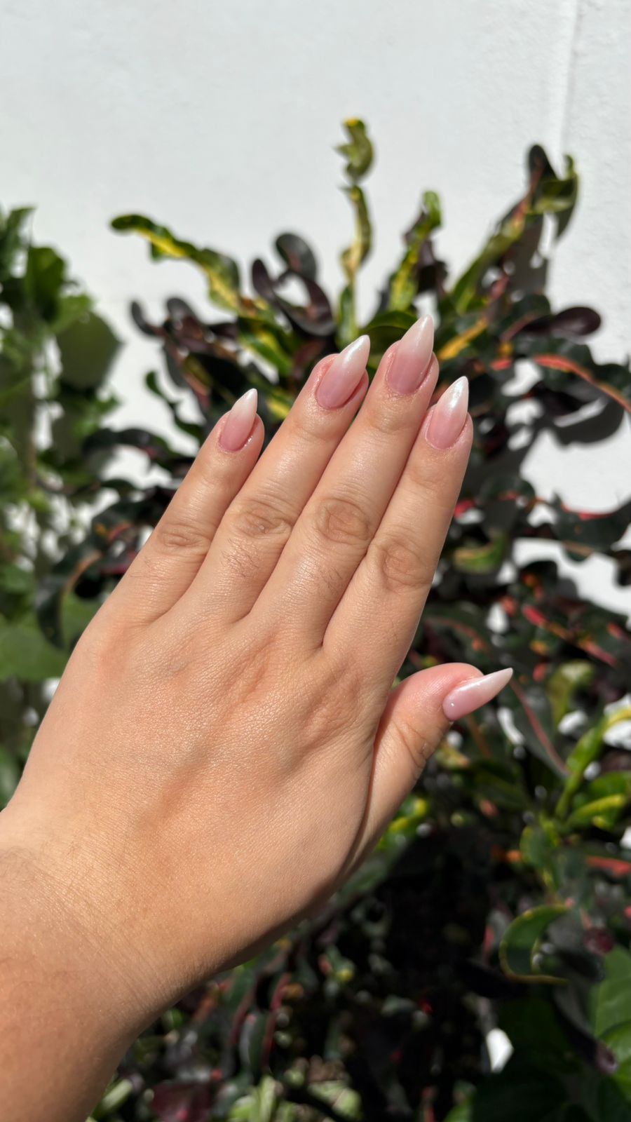 Spa de uñas SONTOB